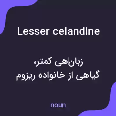 معنی lesser celandine به فارسی معنی lesser celandine به فارسی