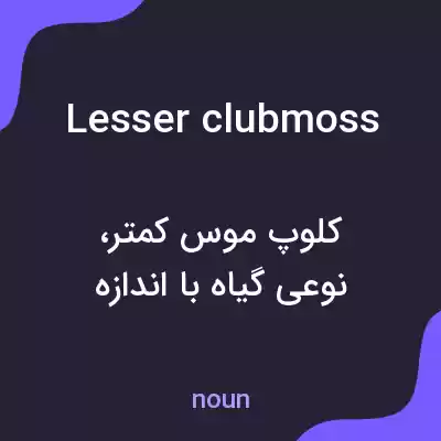 معنی lesser clubmoss به فارسی معنی lesser clubmoss به فارسی