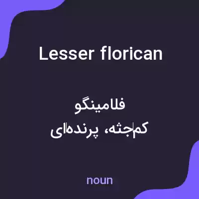 معنی lesser florican به فارسی معنی lesser florican به فارسی