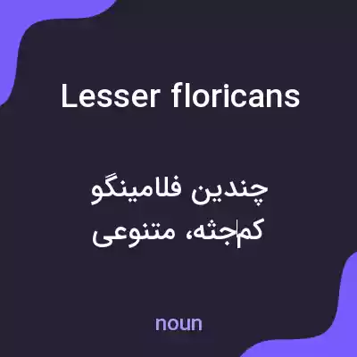 معنی lesser floricans به فارسی معنی lesser floricans به فارسی
