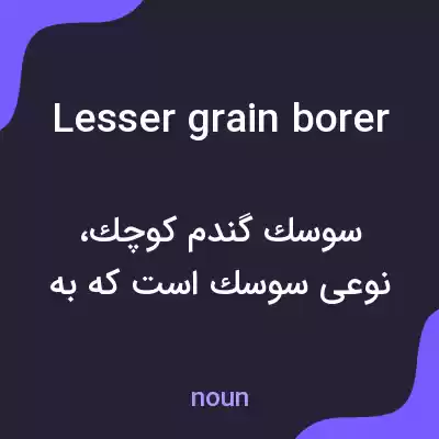 معنی lesser grain borer به فارسی معنی lesser grain borer به فارسی