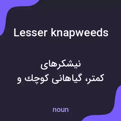 معنی lesser knapweeds به فارسی معنی lesser knapweeds به فارسی
