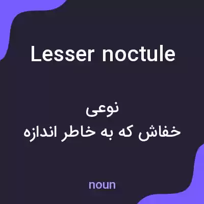 معنی lesser noctule به فارسی معنی lesser noctule به فارسی
