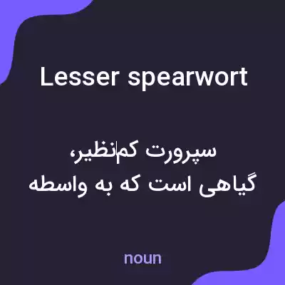 معنی lesser spearwort به فارسی معنی lesser spearwort به فارسی