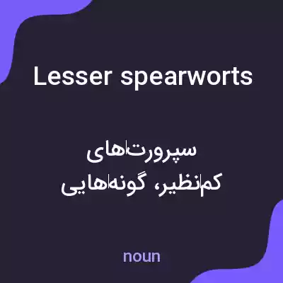 معنی lesser spearworts به فارسی معنی lesser spearworts به فارسی