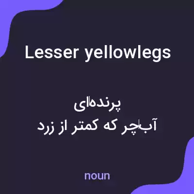 معنی lesser yellowlegs به فارسی معنی lesser yellowlegs به فارسی