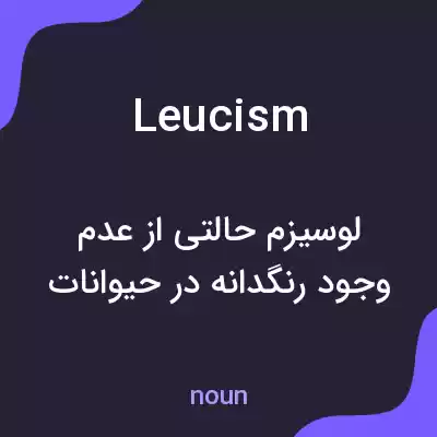 معنی leucism به فارسی معنی leucism به فارسی