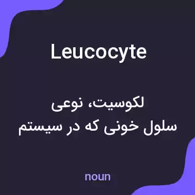 معنی leucocyte به فارسی معنی leucocyte به فارسی