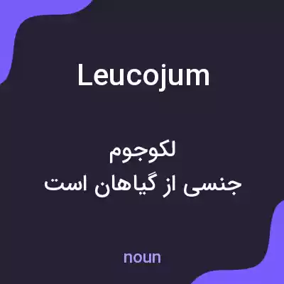 معنی leucojum به فارسی معنی leucojum به فارسی