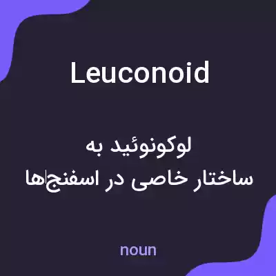 معنی leuconoid به فارسی معنی leuconoid به فارسی