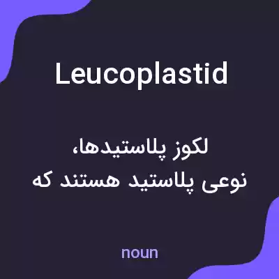 معنی leucoplastid به فارسی معنی leucoplastid به فارسی