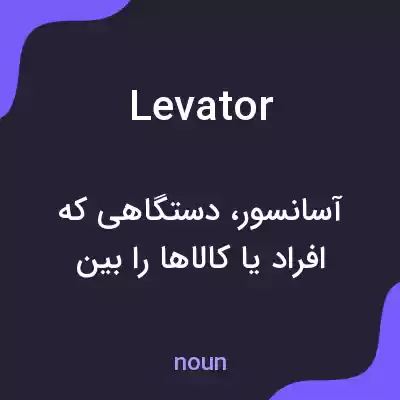 معنی levator به فارسی معنی levator به فارسی