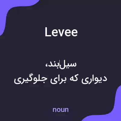 معنی levee به فارسی معنی levee به فارسی