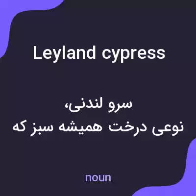 معنی leyland cypress به فارسی معنی leyland cypress به فارسی