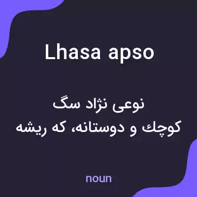 معنی lhasa apso به فارسی معنی lhasa apso به فارسی
