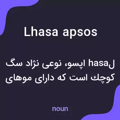 معنی lhasa apsos به فارسی معنی lhasa apsos به فارسی