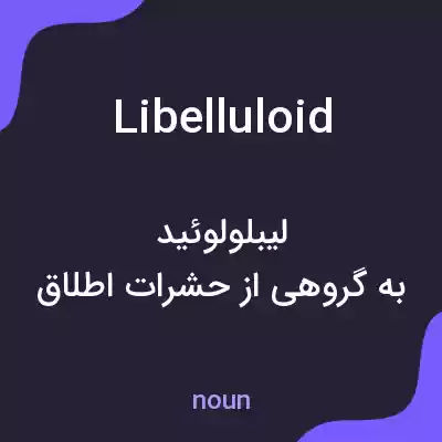 معنی libelluloid به فارسی