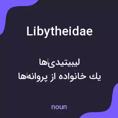معنی libytheidae به فارسی معنی libytheidae به فارسی