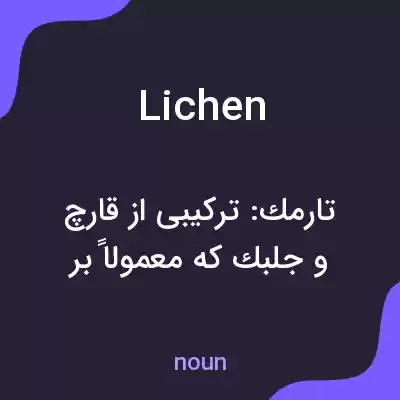 معنی lichen به فارسی