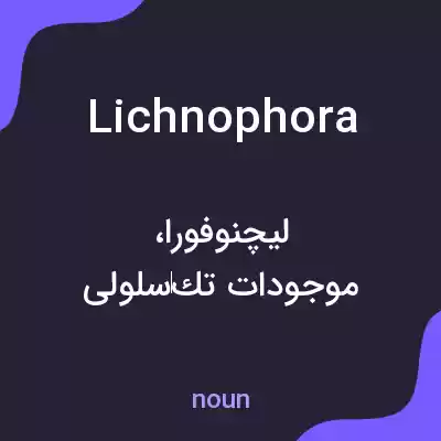 معنی lichnophora به فارسی معنی lichnophora به فارسی