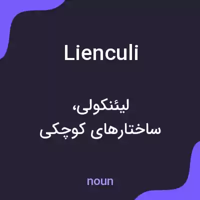 معنی lienculi به فارسی معنی lienculi به فارسی