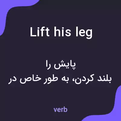 معنی lift his leg به فارسی معنی lift his leg به فارسی