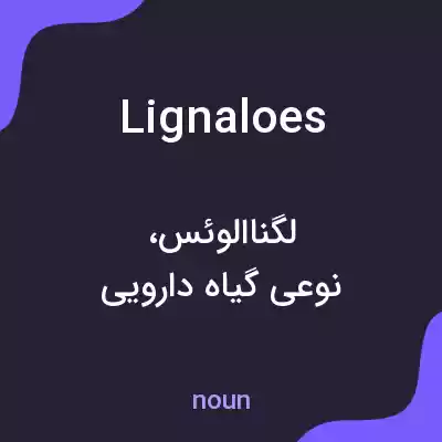 معنی lignaloes به فارسی معنی lignaloes به فارسی
