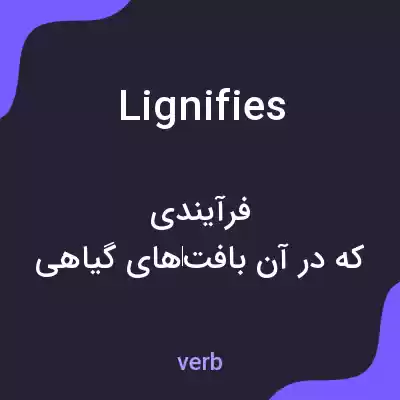 معنی lignifies به فارسی معنی lignifies به فارسی
