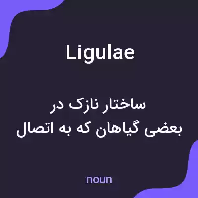 معنی ligulae به فارسی معنی ligulae به فارسی