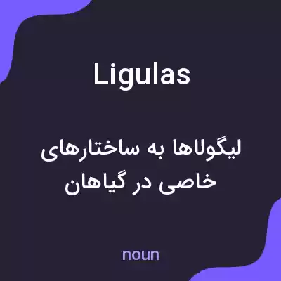 معنی ligulas به فارسی معنی ligulas به فارسی