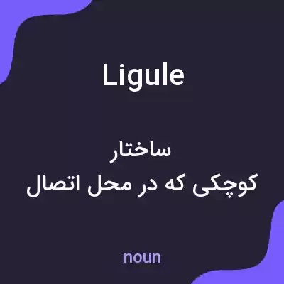 معنی ligule به فارسی معنی ligule به فارسی