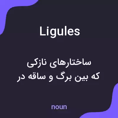 معنی ligules به فارسی معنی ligules به فارسی