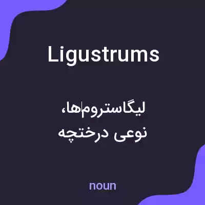 معنی ligustrums به فارسی معنی ligustrums به فارسی