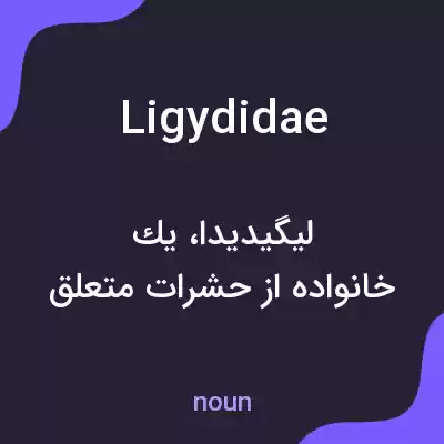 معنی ligydidae به فارسی معنی ligydidae به فارسی