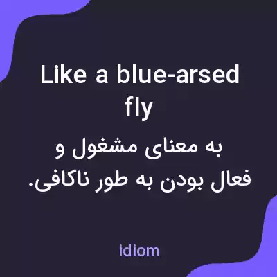 معنی like a blue-arsed fly به فارسی معنی like a blue-arsed fly به فارسی