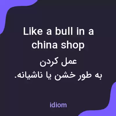 معنی like a bull in a china shop به فارسی معنی like a bull in a china shop به فارسی