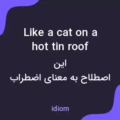 معنی like a cat on a hot tin roof به فارسی معنی like a cat on a hot tin roof به فارسی