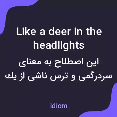 معنی like a deer in the headlights به فارسی معنی like a deer in the headlights به فارسی