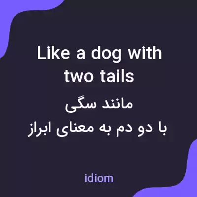 معنی like a dog with two tails به فارسی معنی like a dog with two tails به فارسی