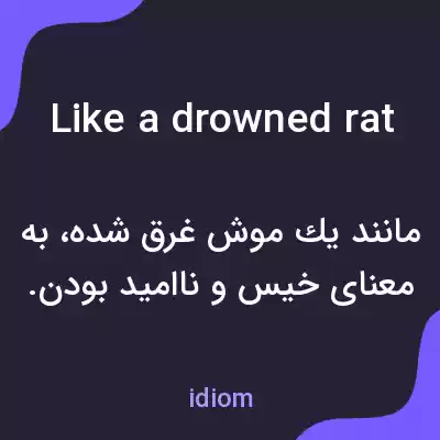 معنی like a drowned rat به فارسی معنی like a drowned rat به فارسی