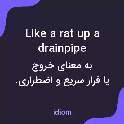 معنی like a rat up a drainpipe به فارسی معنی like a rat up a drainpipe به فارسی