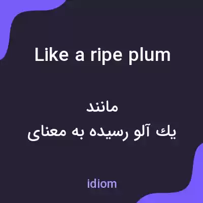 معنی like a ripe plum به فارسی معنی like a ripe plum به فارسی