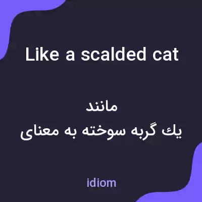 معنی like a scalded cat به فارسی