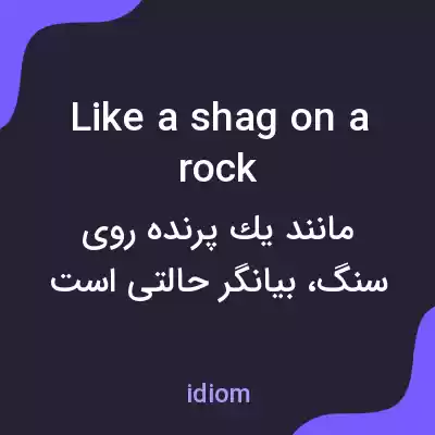 معنی like a shag on a rock به فارسی معنی like a shag on a rock به فارسی