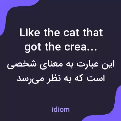معنی like the cat that got the cream به فارسی معنی like the cat that got the cream به فارسی