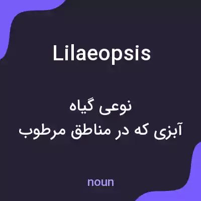 معنی lilaeopsis به فارسی معنی lilaeopsis به فارسی