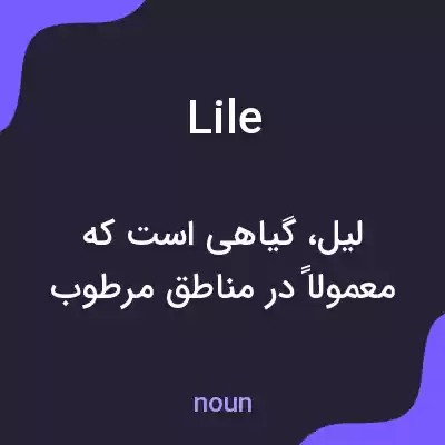 معنی lile به فارسی معنی lile به فارسی