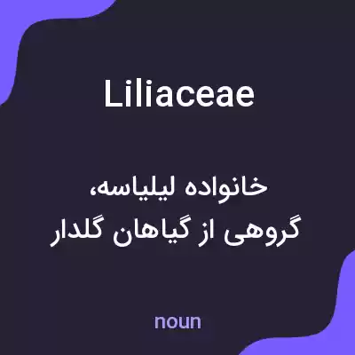 معنی liliaceae به فارسی معنی liliaceae به فارسی