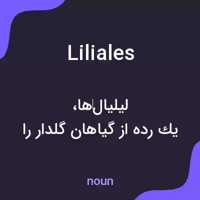 معنی liliales به فارسی معنی liliales به فارسی