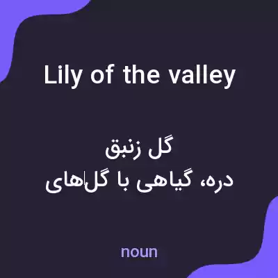 معنی lily of the valley به فارسی معنی lily of the valley به فارسی